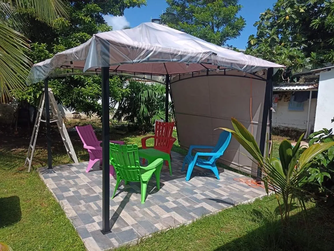 Guest house Hostal Palo Alto San Andres